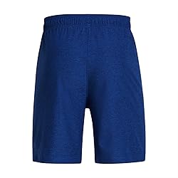 Under Armour Men's Tall Size Vent Shorts, Tech