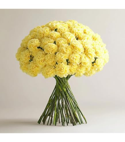 Amazon.com : eflowerwholesale -Mother's Day Hundred Pecent Love