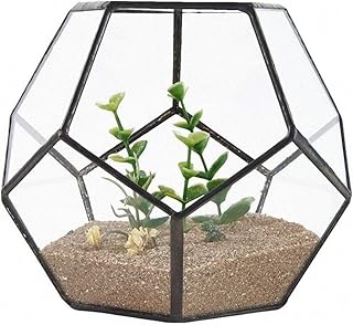 MINGMIN-DZ Dauerhaft Black Glass Pentagon Geometric Terrarium Container Fensterbank Dekor Blumentopf Balkonkasten DIY Display Box (No Pflanze