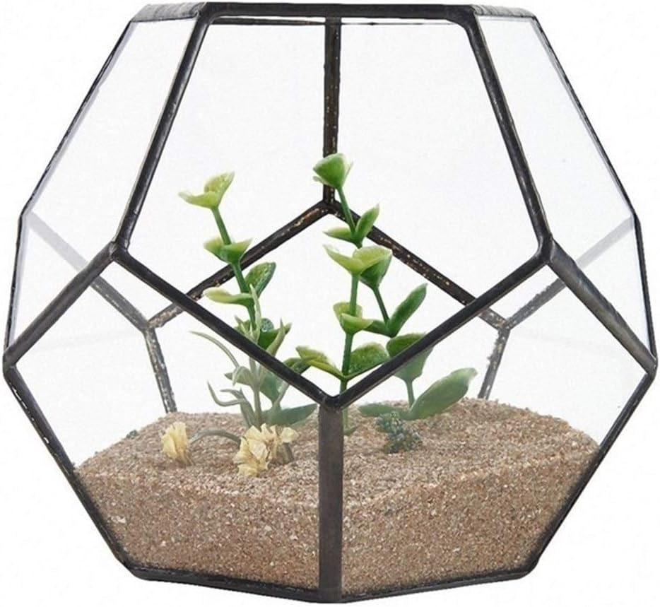 MINGMIN-DZ Dauerhaft Black Glass Pentagon Geometric Terrarium Container Fensterbank Dekor Blumentopf Balkonkasten DIY Display Box (No Pflanze