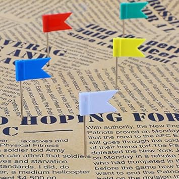 100 X Clou Avec Drapeau Marque épingle Murale Mixte Blanc