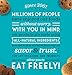Enjoy Life Foods Gingerbread Spice Soft Baked Cookies, Soy Free, Dairy Free, Non GMO, Gluten Free, Vegan, Nut Free Cookies, 6 Boxes, 6 Ounce (Pack of 6)