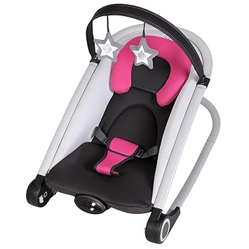 2 in 1 baby bouncer