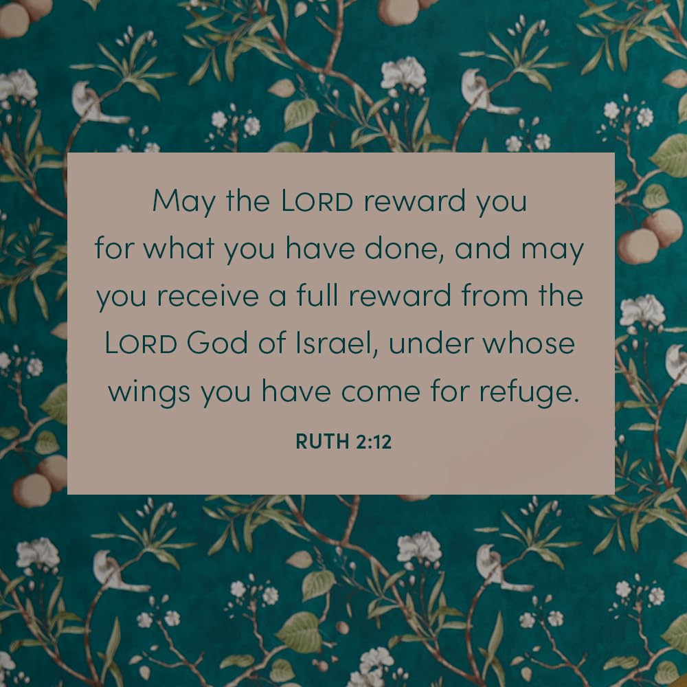 Ruth: Loss, Love & Legacy - Bible Study for Women (Revised & Expanded) with Video Access