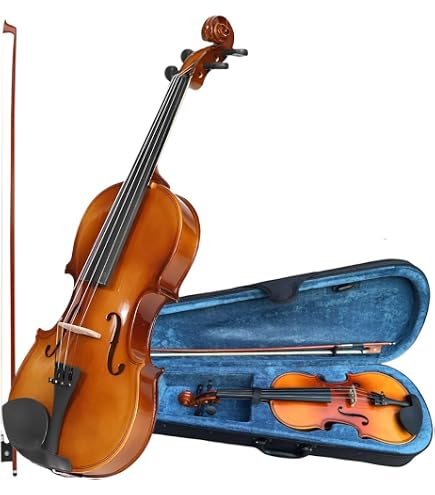 VIOLINO MICHAEL TRADICIONAL VNM40 4/4 TRAD : Amazon.com.br