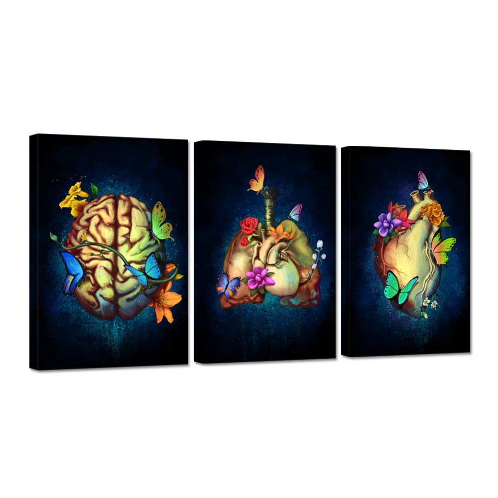iHAPPYWALL 3 Pieces Human Anatomy Canvas Wall Art Heart Lungs Brain ...