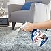 OUT! Pet Stain & Odor Remover, 32 oz, USA Made