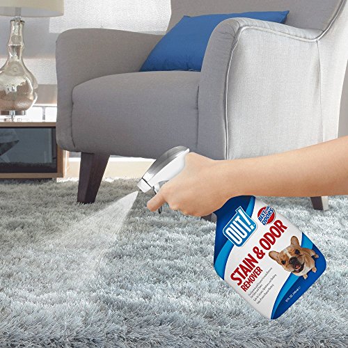 OUT! Pet Stain & Odor Remover, 32 oz, USA Made Pricepulse