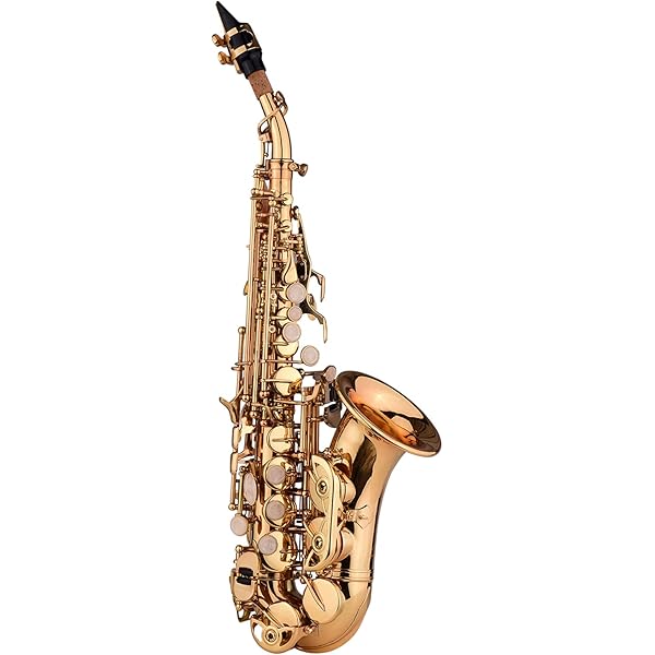 Amazon.com: Curved Soprano Saxophone, B Flat Soprano Saxophone