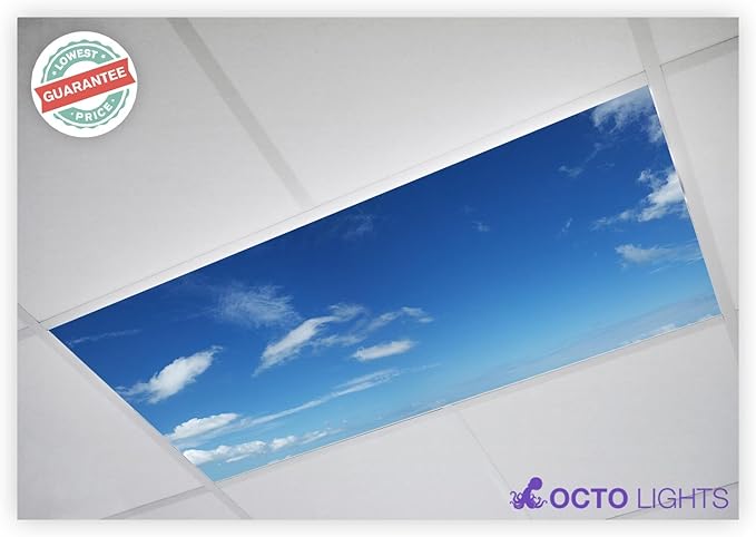 Octo Lights Fluorescent Light Covers 2x4 Flexible Ceiling
