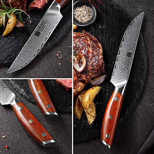XINZUO Damascus Steel 4Pcs Steak Knife Set, 5 Inch Premium Dinner Knife
