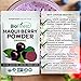 Biofinest Maqui Berry Juice Powder - 100% Pure Freeze-Dried Antioxidants Superfood - USDA Organic Vegan Raw Non-GMO - Boost Digestion Weight Loss - for Smoothie Beverage Blend (4 oz Resealable Bag)