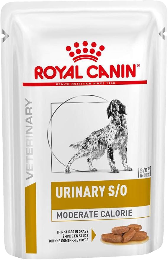 ROYAL CANIN Urinary S/O Moderate Calorie Wet Dog 12 x 100g Amazon.co.uk Pet Supplies