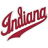 Desert Cactus Indiana University Bloomington Hoosiers Vinyl Decal Laptop Water Bottle Car Scrapbook Sticker (IND 8)
