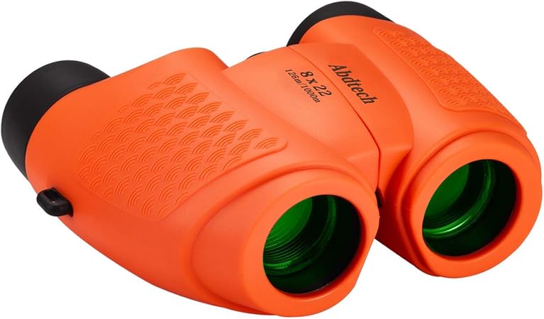 Amazon Co Jp Abdtech 双眼鏡 コンサート 高倍率 8倍 フリーフォーカス コンパクト ライブ 携帯便利 小型 軽量 ピント合わせ不要 ドーム バードウォッチング キャンプ 運動会 歌舞伎観賞 舞台観賞 スポーツ アウトドア 誕生日 プレゼント オレンジ カメラ