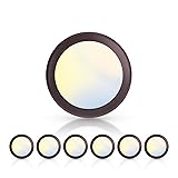 ECOELER Bronze LED Disk Light, 6in 5CCT Dimmable