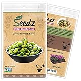 CERTIFIED ORGANIC SEEDS (Appr. 30) - Midori Giant Soybean Seeds - Open Pollinated Vegetable Seeds - Organic, Non Hybrid Garden Seeds - USA