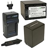 Wasabi Power Battery (2-Pack) and Charger for Sony NP-FV100 and Sony DCR-SR15, SR21, SR68, SR88, SX15, SX21, SX44, SX45, SX63, SX65, SX83, SX85, FDR-AX100, HDR-CX105, CX110, CX115, CX130, CX150, CX155, CX160, CX190, CX200, CX210, CX220, CX230, CX260V, CX290, CX300, CX305, CX330, CX350V, CX360V, CX380, CX430V, CX520V, CX550V, CX560V, CX580V, CX700V, CX760V, CX900, HC9, PJ10, PJ30V, PJ50, PJ200, PJ230, PJ260V, PJ340, PJ380, PJ430V, PJ540, PJ580V, PJ650V, PJ710V, PJ760V, PJ790V, PJ810, TD10, TD20V, TD30V, XR150, XR155, XR160, XR260V, XR350V, XR550V, HXR-NX3D1U, NX30U, NX70U, NEX-VG10, VG30, VG30H, VG900