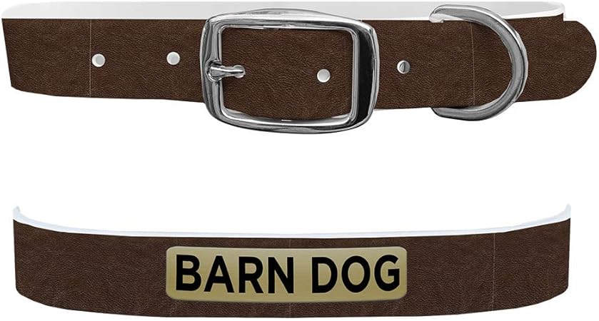 dog collars pet barn