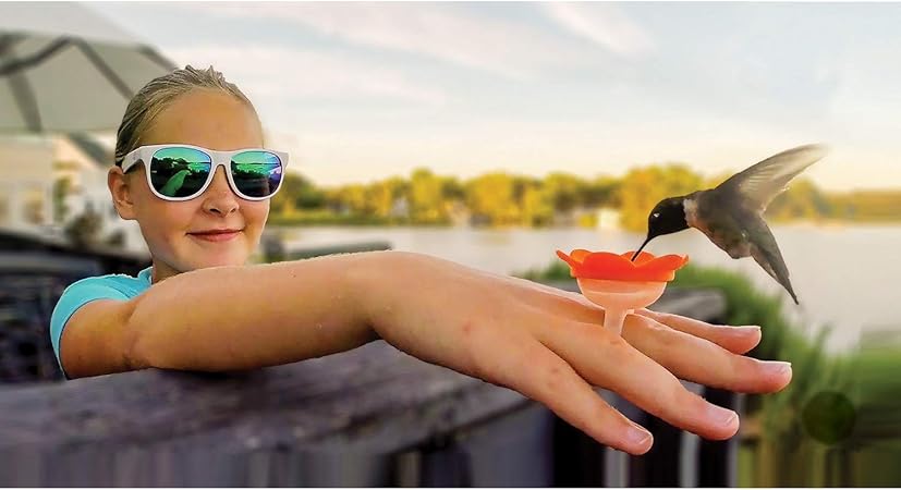 Amazon Com Songbird Essentials Hummer Rings Hummingbird Feeder