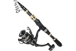 PLUSINNO Fishing Rod and Reel Combo,Fishing Pole,Telescopic Fishing Rod Kit with Spinning Reel, Telescopic Fishing Pole with Carrier Bag for Freshwater Saltwater for Men Women