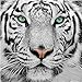 Adarl 5D DIY Full Diamond Painting Rhinestone Pictures of Crystals Embroidery Kits Arts, Crafts & Sewing Cross Stitch (Tiger 1)