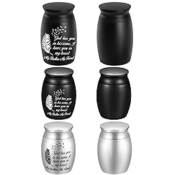 Custom Beautiful Urn for Human Ashes, Feather Small