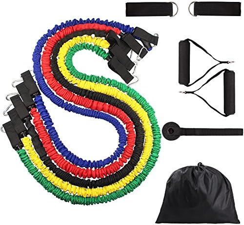 Resistance Band Set with Handles, Exercise Bands with Carrying Case, Door Anchor Attachment, Legs Ankle Straps 
