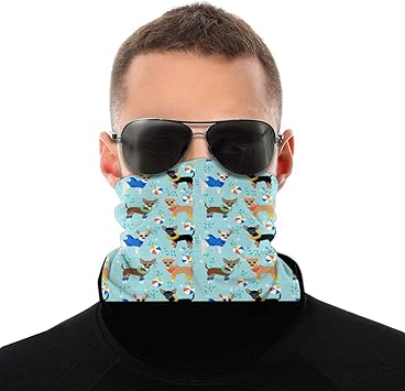 Amazon ターバン ヘッドバンド フェイス 帽子 チワワプールパーティー夏フロート犬 バラクラバ フェイス チューブ型 日焼け防止 ｕｖカット ひんやり 通気 保温 速乾 多機能 スポーツ バイク 自転車 スキー用 メンズ レディース Glc Online ネック フェイスカバー