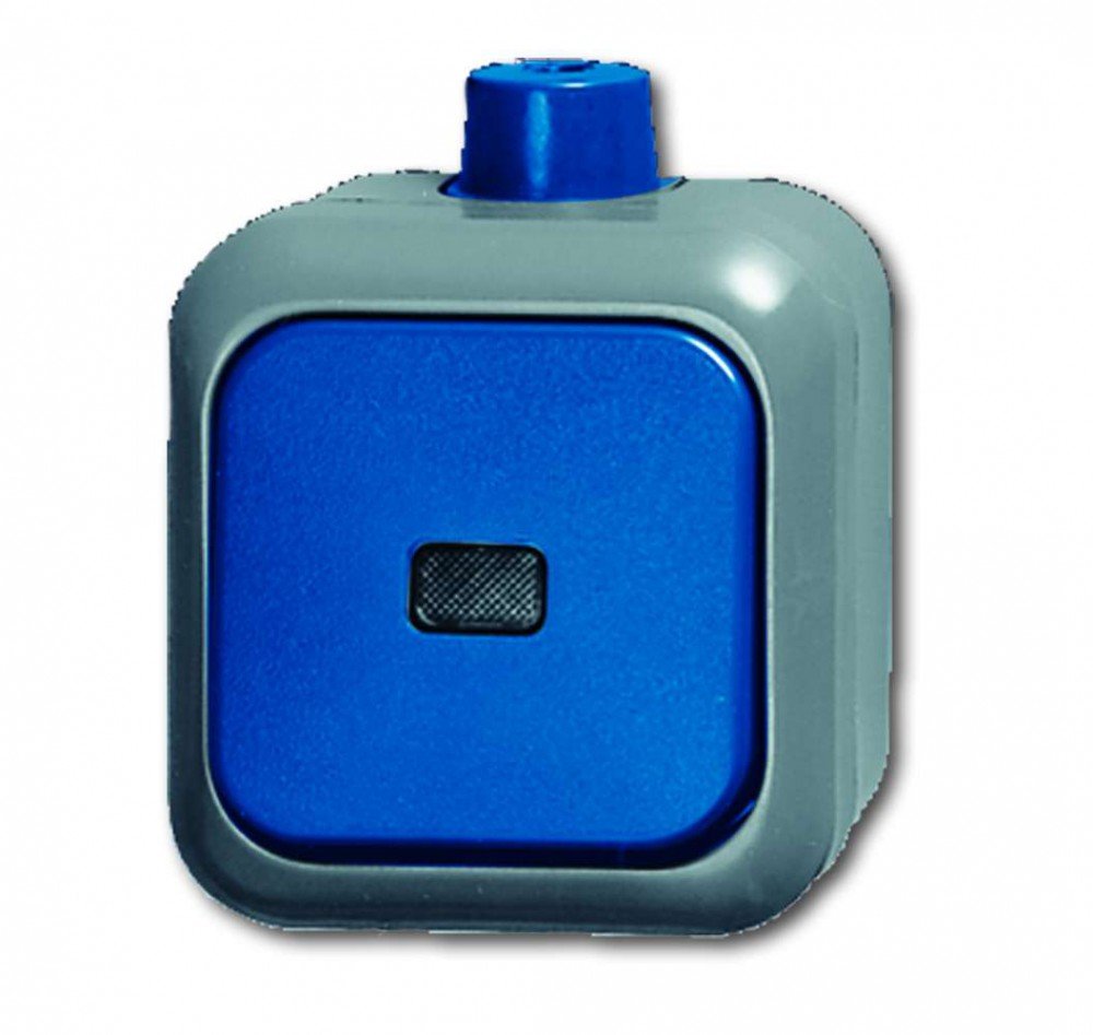 Busch-Jaeger 2601/6 SKWDI Rocker Switch