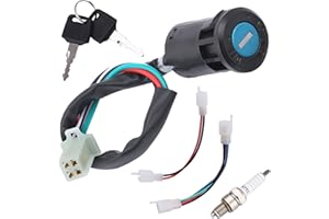 PLAXNS 4 Pin Ignition Key Switch 4 Wire Set fit for TaoTao Coolster Buyang Roketa Kazuma Baja Sunl Apollo Coleman 50cc 70cc 90cc 110cc 125cc 150cc Pit Dirt Bike ATV Quad 4 Wheeler Scooter