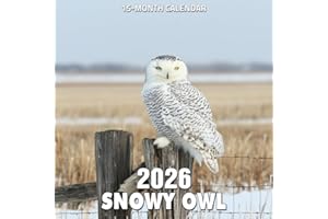 Snowy Owl 2026 Calendar