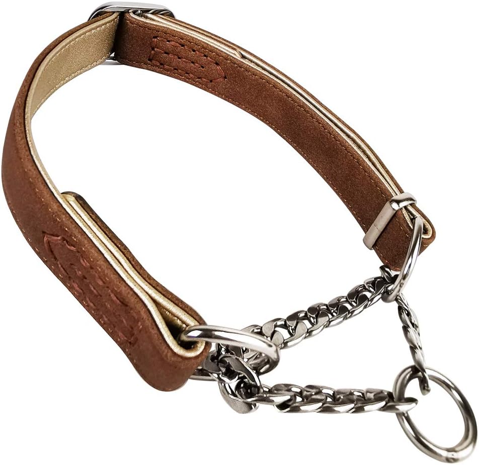 10 Best Martingale Dog Collars That Can Avoid the Slipping
