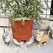 CITONG Gray Cat Outdoor Figurine - Cat Garden Statue Decor Indoor or Outdoor