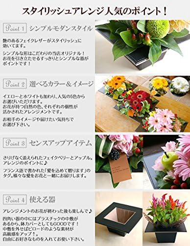 Amazon パラボッセオリジナル フラワーアレンジメント コントラスト オレンジ系 横幅19cmx幅19cmx高さ17cm Flower Arrangements オレンジ フラワーアレンジメント オンライン通販 Amazon パラボッセオリジナル フラワーアレンジメント コントラスト オレンジ系 横幅19cmx幅19cmx高さ17cm Flower Arrangements オレンジ フラワーアレンジメント オンライン通販