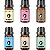 Hotel Diffuser Oil Discovery Kit - Buyers’ Best Picks - 10 mLX6, 0.34 fl oz Hotel Fragrance Oil Gift Set - Inspired by The Baccarat NYC, Paris Coast、My Way and Ritz Carlton and Other Hotel Scents