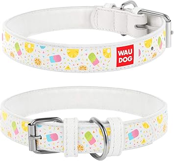 cream dog collar