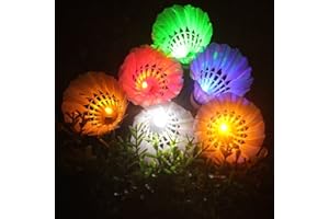 Inngree LED Shuttlecock Badminton, [6 Pack] 6 Color Shuttlecock Dark Night Goose Feather Glow Birdies Lighting for Outdoor Indoor Sport Activities