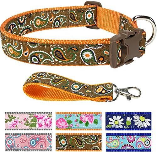 Pet Rejoir Creative Flower Spring Dog Collar Collection- 6 Designer Patterns Holiday Dog Collars– Timeless Iconic Taupe Brown Paisley Dog Collar – Neck 15~19 Adjustable Collar for Medium Dogs