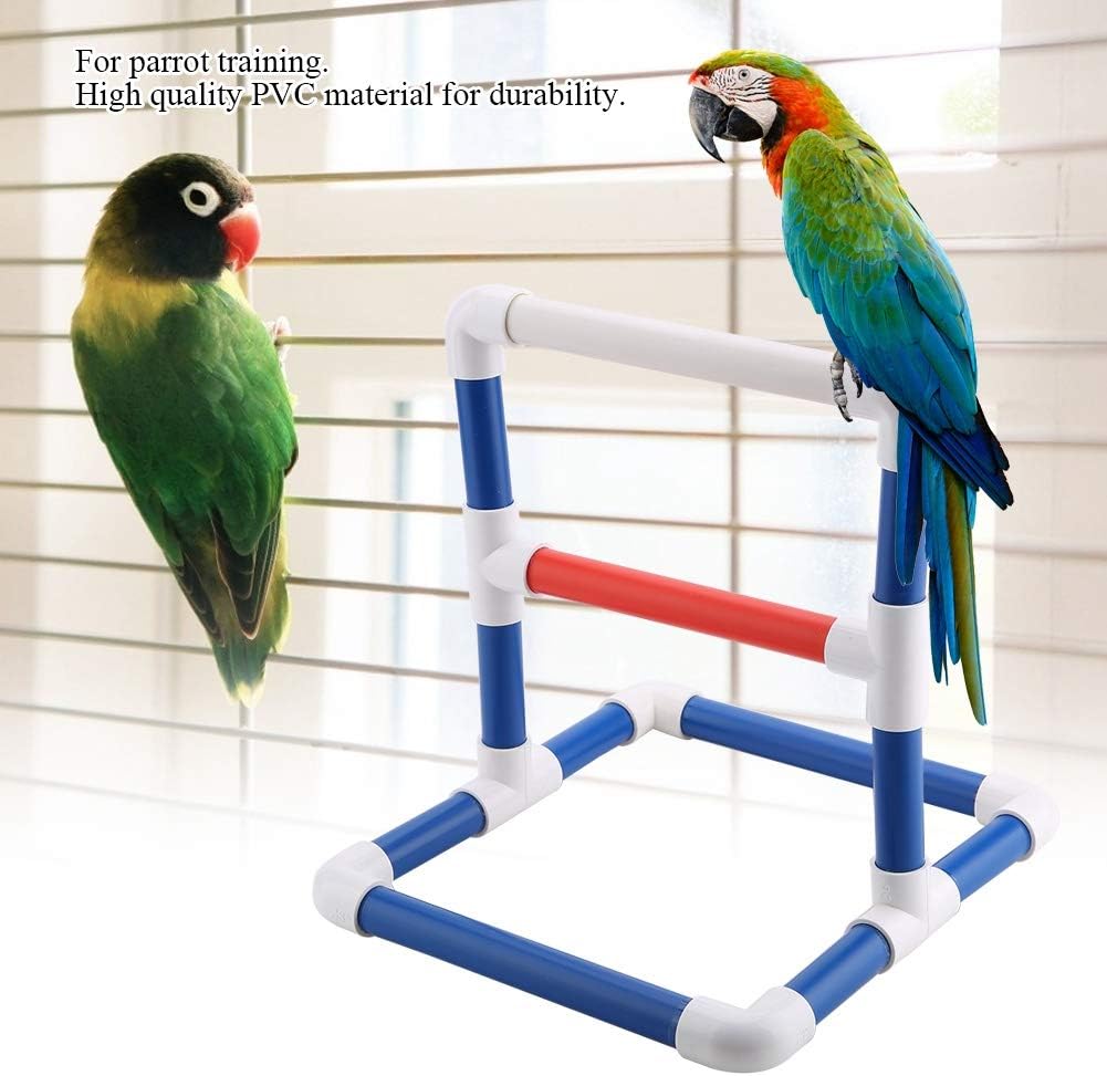 Parrot Training Stand for Birds, PVC Bird Perch Platform with Shower Bath Rack and Gym Play - Image 3