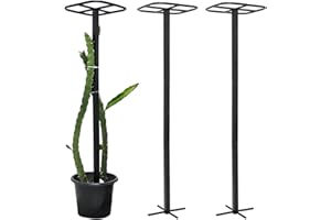 Yohsnor 2-Pack Metal Dragon Fruit Trellis - Durable Vertical Garden Support for Climbing Plants, Easy to Assemble, 12x12x50 Inches for Dragon Fruit Enthusiasts