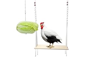 HahaMagic Chicken Swing Toy and Hanging Feeder with Chain and Hook for Large Coop, Coop Accessories and Decor for Hens and Ro