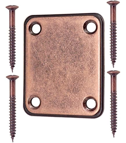 Plaque De Contrôle Couleur Rouille Pour Guitare Telecaster - Style Vieilli Nickel