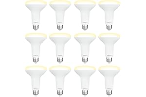 DEGNJU 12 Pack BR30 LED Recessed Light Bulb, Dimmable Indoor Flood Light Bulbs CRI80 7W Equivalent 65W 2700K Soft White 650 Lumens, 15000 Lifetime Hours E26 Base LED Can Light Bulb, Flicker-Free