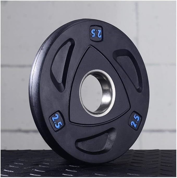 DSHUJC Durable Weight Plates Olympic Fractional Plates Dumbbell Barbell