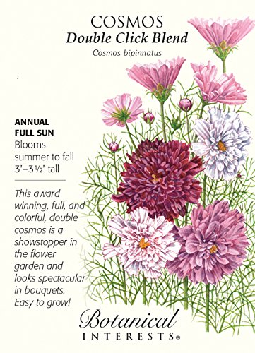 Double Click Blend Cosmos - 25 Seeds