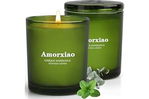 YINUO LIGHT 2 Pack Eucalyptus Candles, Candles for Home Scented, 11.3 OZ Longlast 65-70 Hours Natural Soy Candles Come in a Beautiful Gift Box, Candles Gifts for Women, Family, Friends （Eucalyptus & Mint）