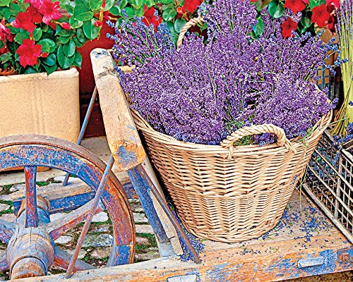 Springbok Puzzles - Basket of Lavender - 1000 Piece Jigsaw Puzzle - Large 24 Inches by 30 Inches Puzzle - Made in USA - Unique Cut Interlocking Pieces