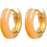 Small Hoop Earrings for Women Color Cute Enamel Hoop Earrings Gold Plated Hypoallergenic Huggie Earring Gifts