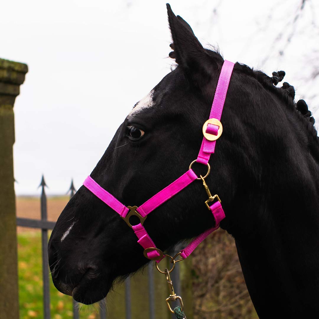 Pferdelinis Halter for Horses Warmblood, Thoroughbred, Cold Blood - Stable Halter, Pasture Halter, 2 Adjustable Positions on Chin Strap and Headpiece, Safe and Tear-Resistant (Pink, Shetland Pony